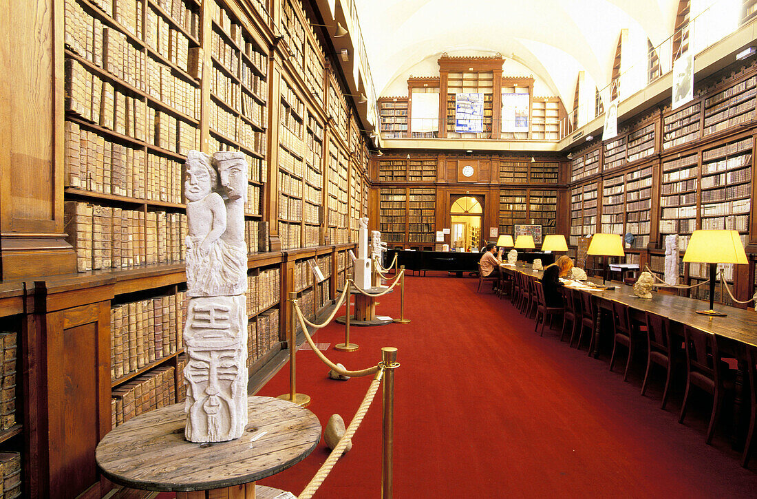 Library. Musee-Palais Fesch. Ajaccio. South Corsica. Corsica Island. France