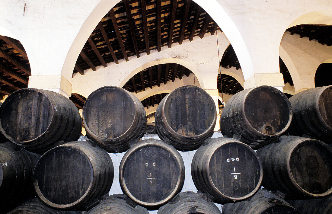 Oak barrels of sherry at wine cellar, González Byass winery. Jerez de la Frontera, Cádiz province. Spain