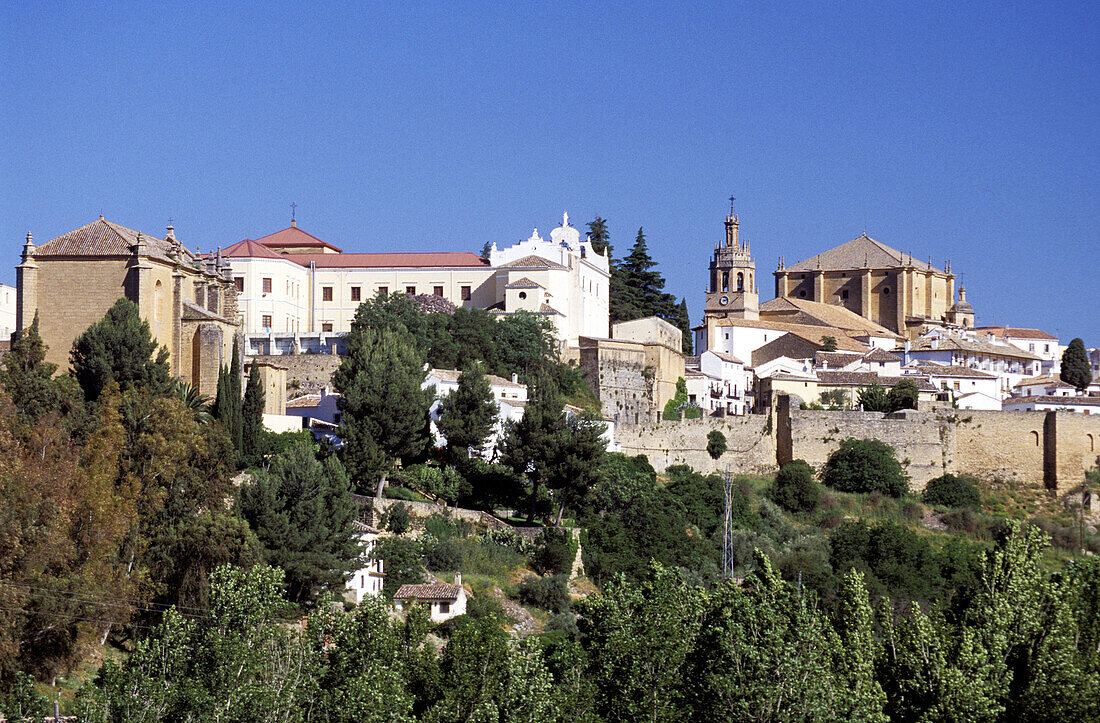 Ronda. Málaga province, Spain