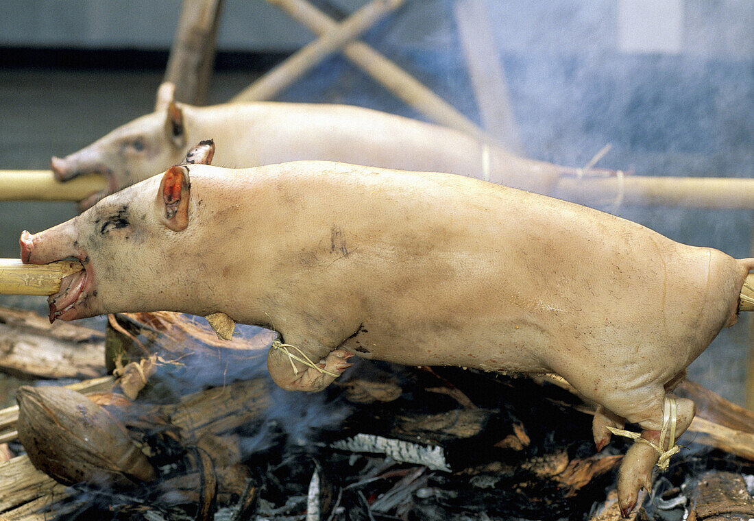 Small pigs roasting during an Odalan (Temple Festival). Odalan Temple. Bali Island. Indonesia