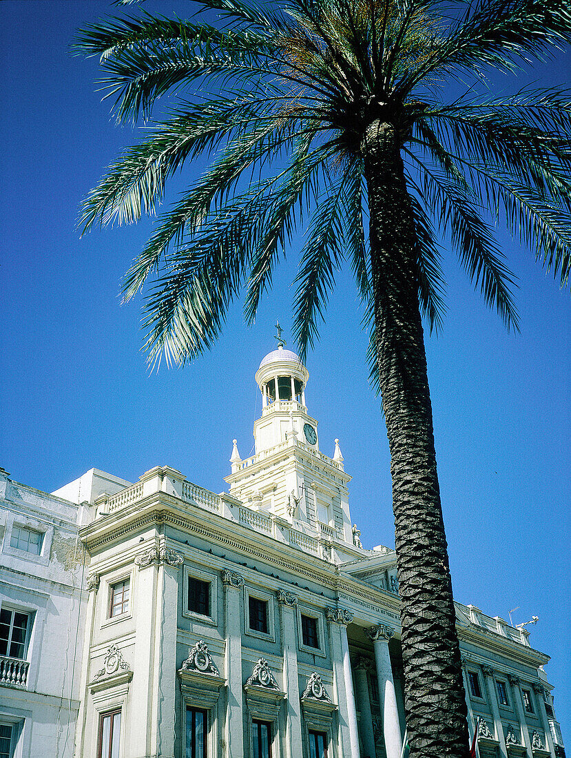 City Hall building with palm tress at fore. Cádiz. Spain