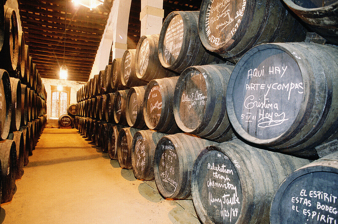 Oak barrels of sherry at wine cellar, González Byass winery. Jerez de la Frontera, Cádiz province. Spain