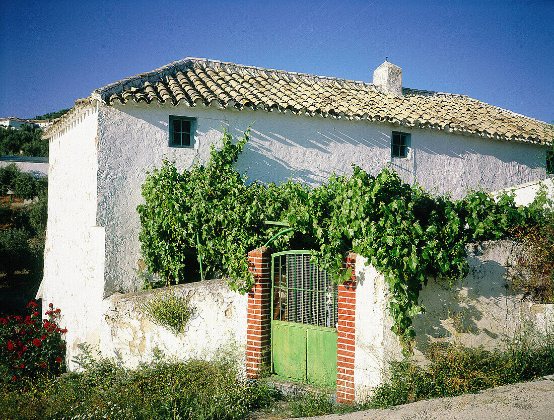 Small house with white walls. Andalucía. Spain