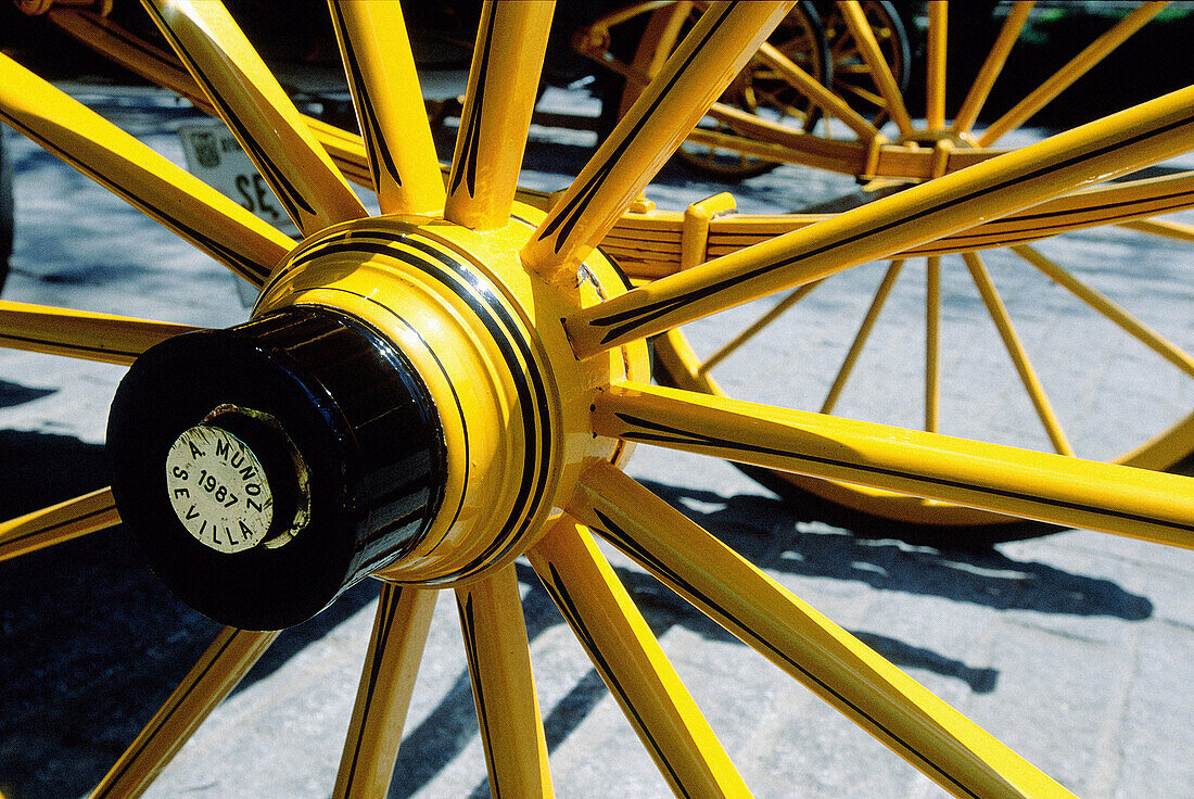 Detail of barouche wheel. Sevilla. Spain