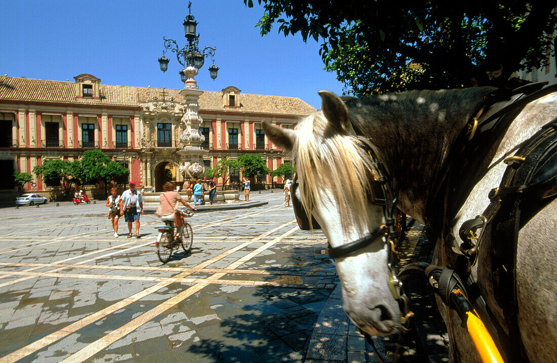 Palacio Arzobispal in Plaza del Triunfo . Seville. Andalusia. Spain