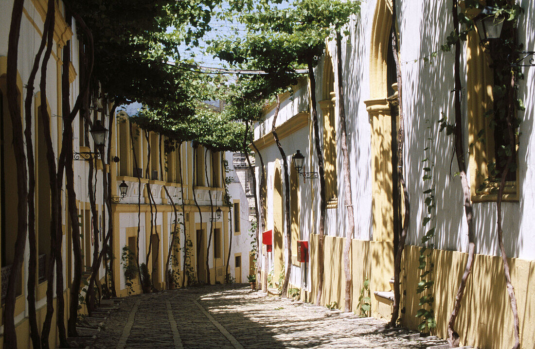 Street in Jerez de la Frontera. Cadiz province. Spain