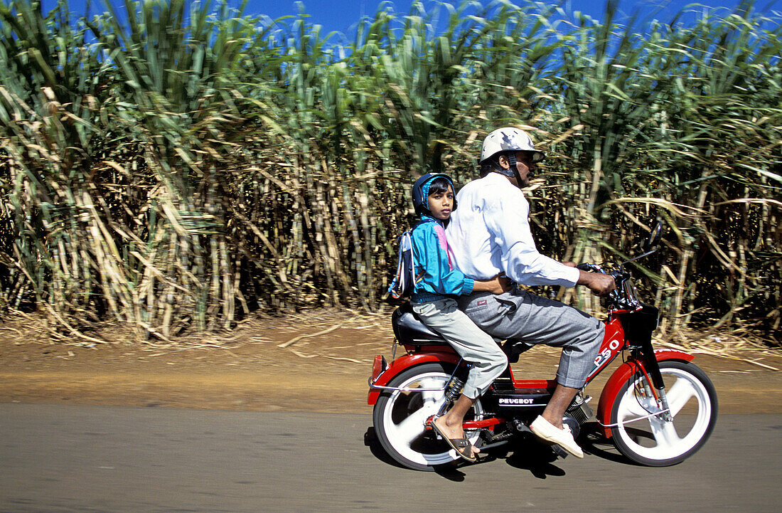 Man on a moped carrying a child. Pointe Aux Piments. Mauritius