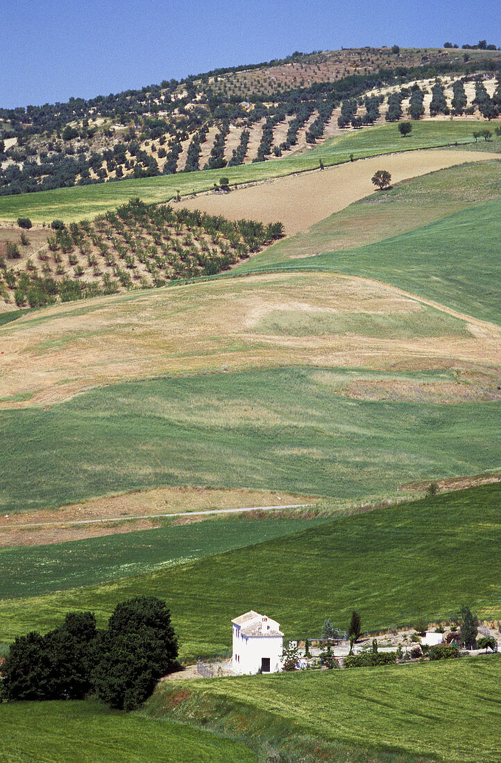 Country landscape near Alhama de Granada. Granada province, Spain