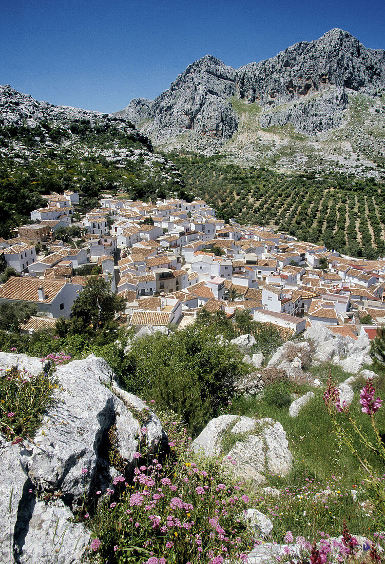 The white pueblo of Montejaque in the Serrania de Ronda mountains. Málaga. Andalucia. Spain.