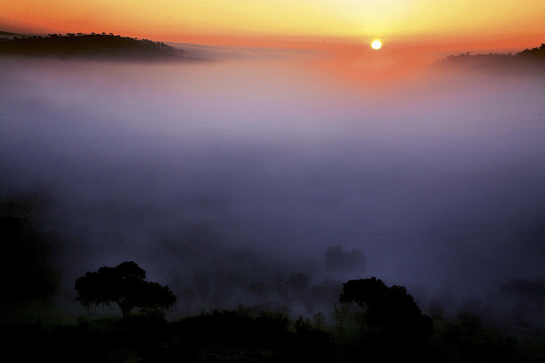 Sunrise on the Dehesa from Extremadura, near Fregenal. Badajoz province. Spain.