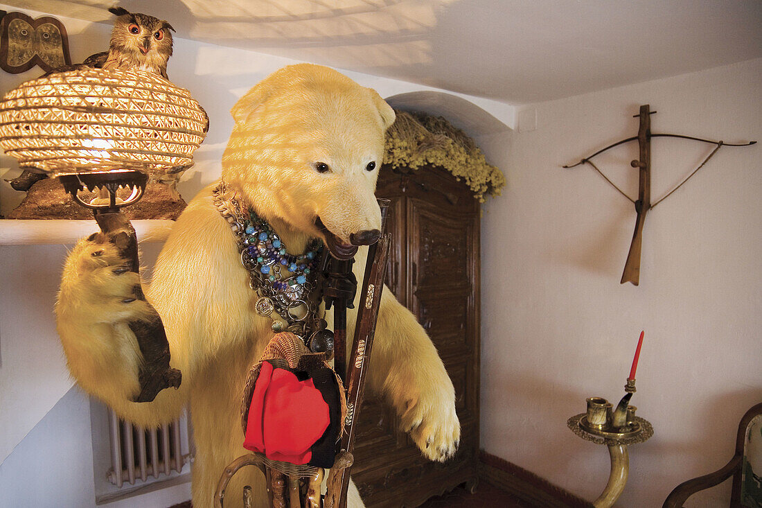 Stuffed bear in Salvador Dalí s house and museum, Portlligat. Girona province, Catalonia, Spain