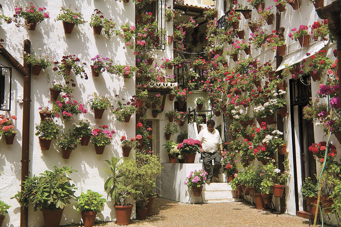 Patio .Cordoba. Andalusia, Spain.