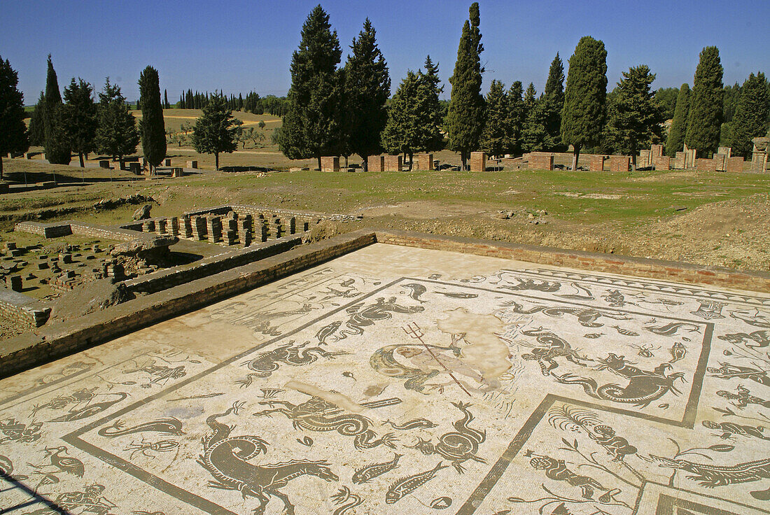 Mosaic at the Neptune House, at the romain ruins of Italica, at Santiponce. Seville. Andalucia. Spain.