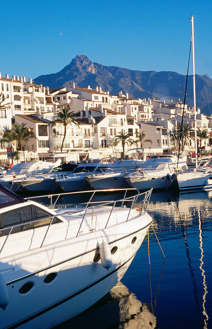 Puerto Banus. Marbella. Malaga province. Spain