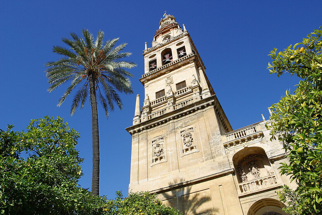 Patio de los Naranjos, courtyard and minaret tower of the Great Mosque. Córdoba. Spain