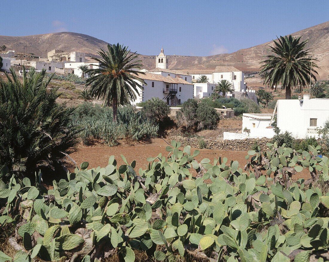 Betancuria, Fuerteventura, Canary Islands, Spain