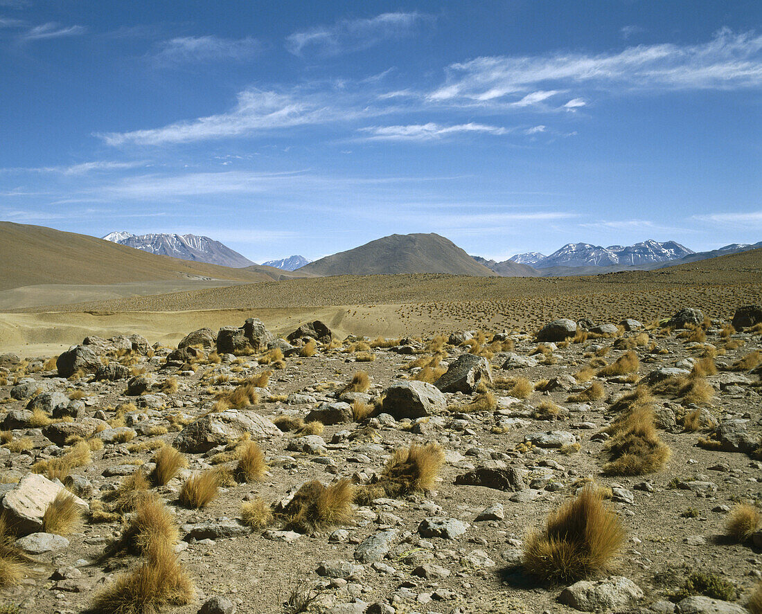 Atacama Desert, Chile