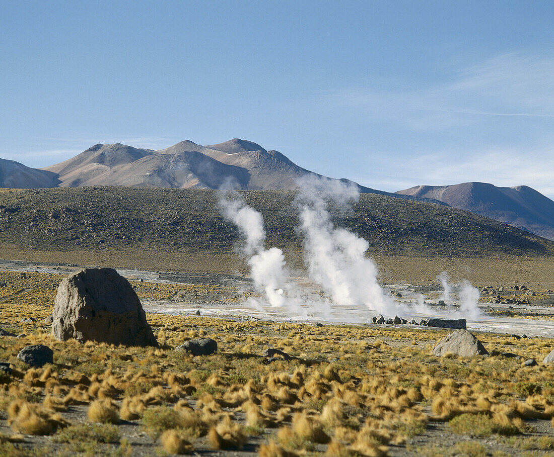 El Tatio geysers. Atacama Desert. Near San Pedro de Atacama. Chile