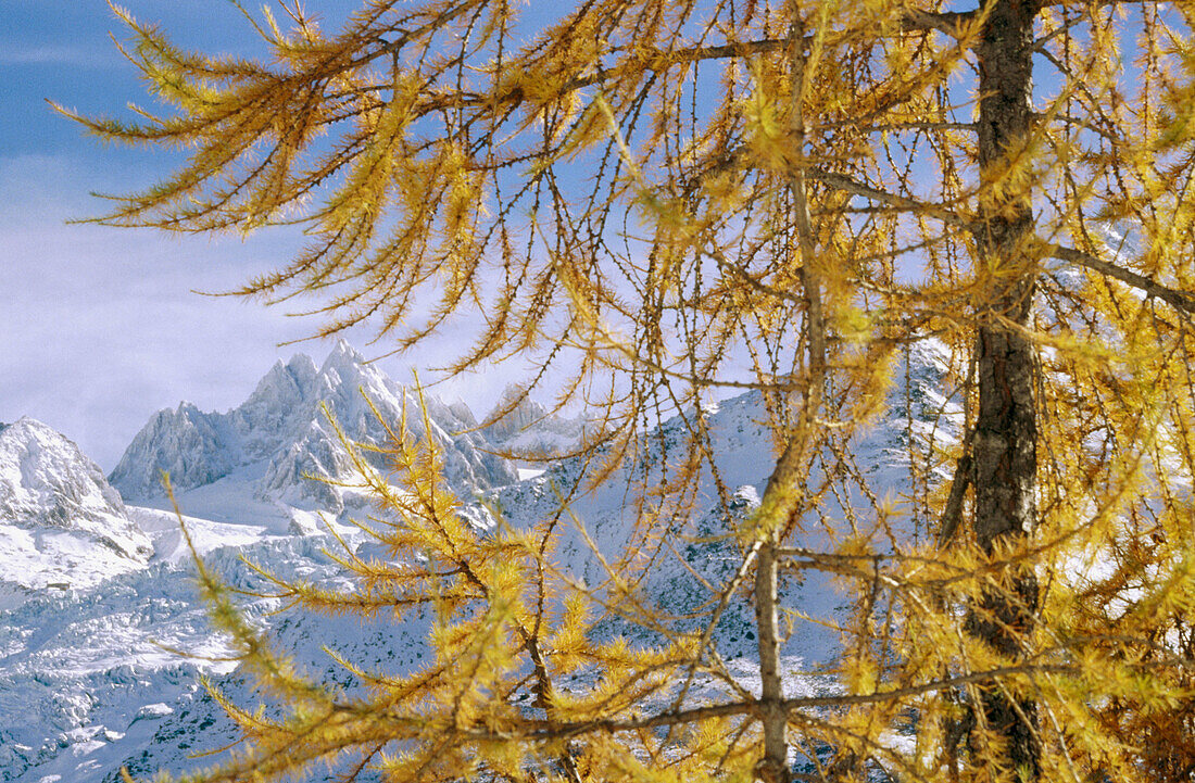 Glacier du Tour, Chamonix. Haute-Savoie, France