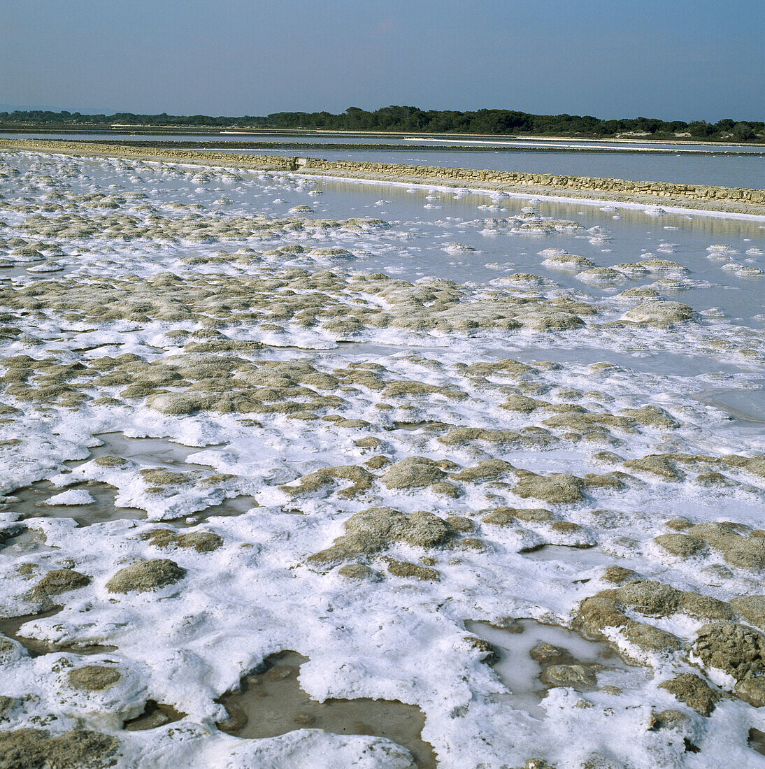 Salt pans. Formentera. Balearic Islands. Spain.