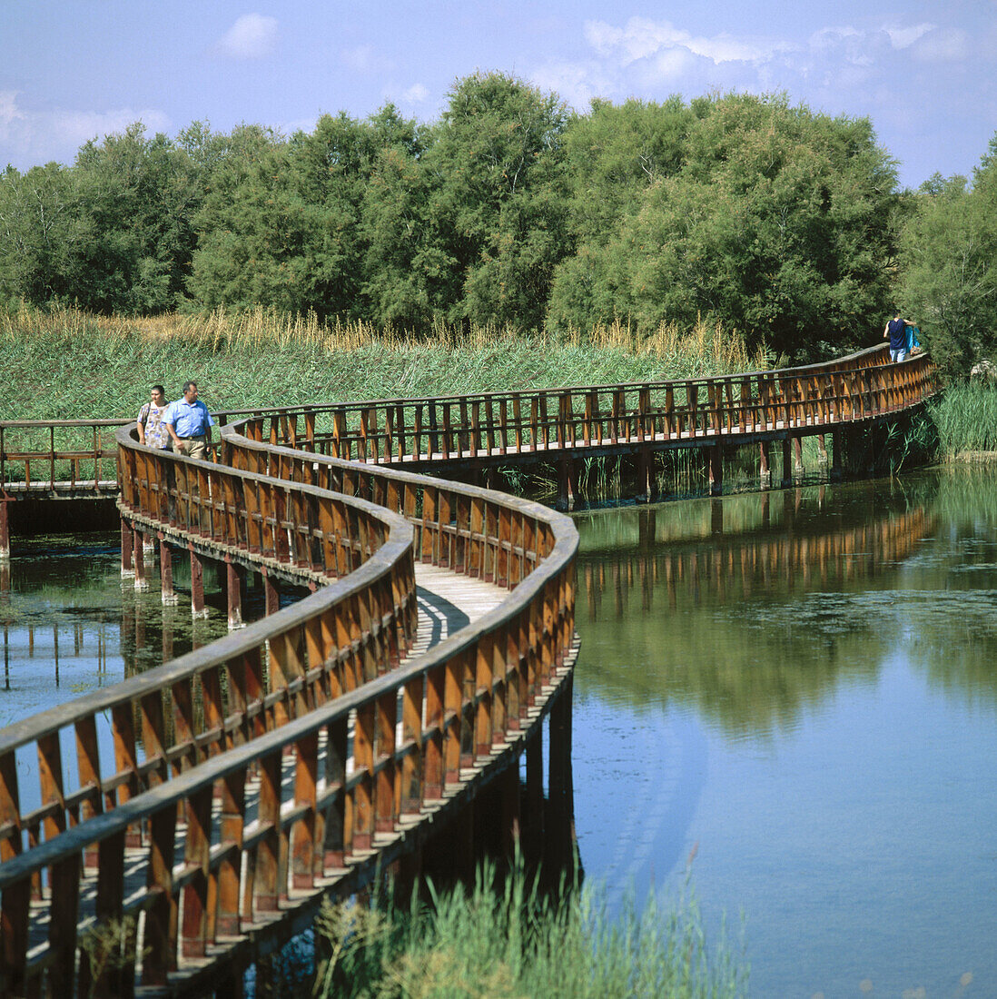 Nationalpark Tablas de Daimiel. Provinz Ciudad Real. Spanien