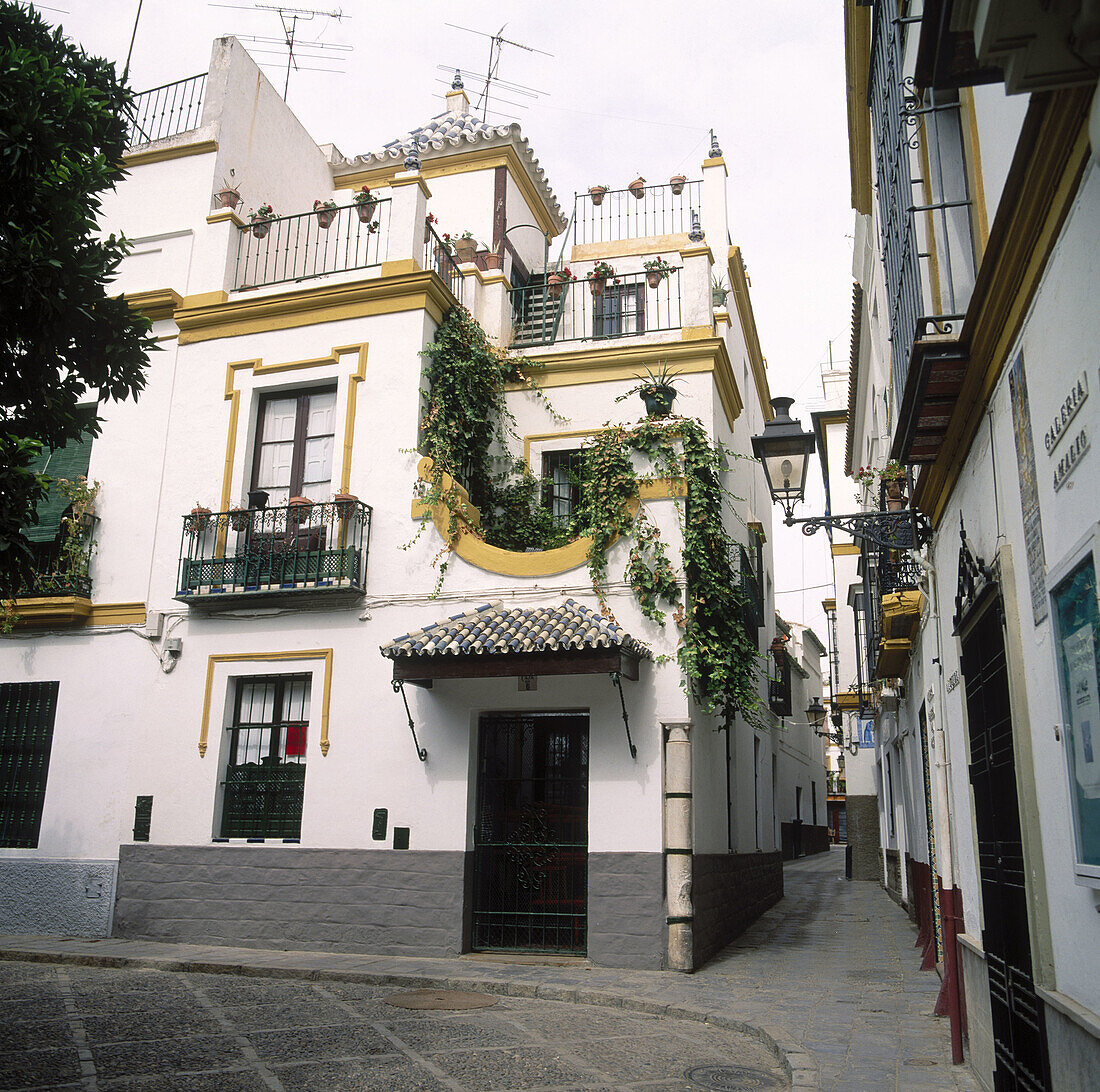 Plaza de Doña Elvira, Barrio de Santa Cruz, Sevilla, Spanien