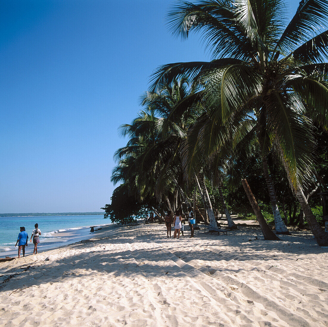 Baru Island, Cartagena de Indias, Colombia