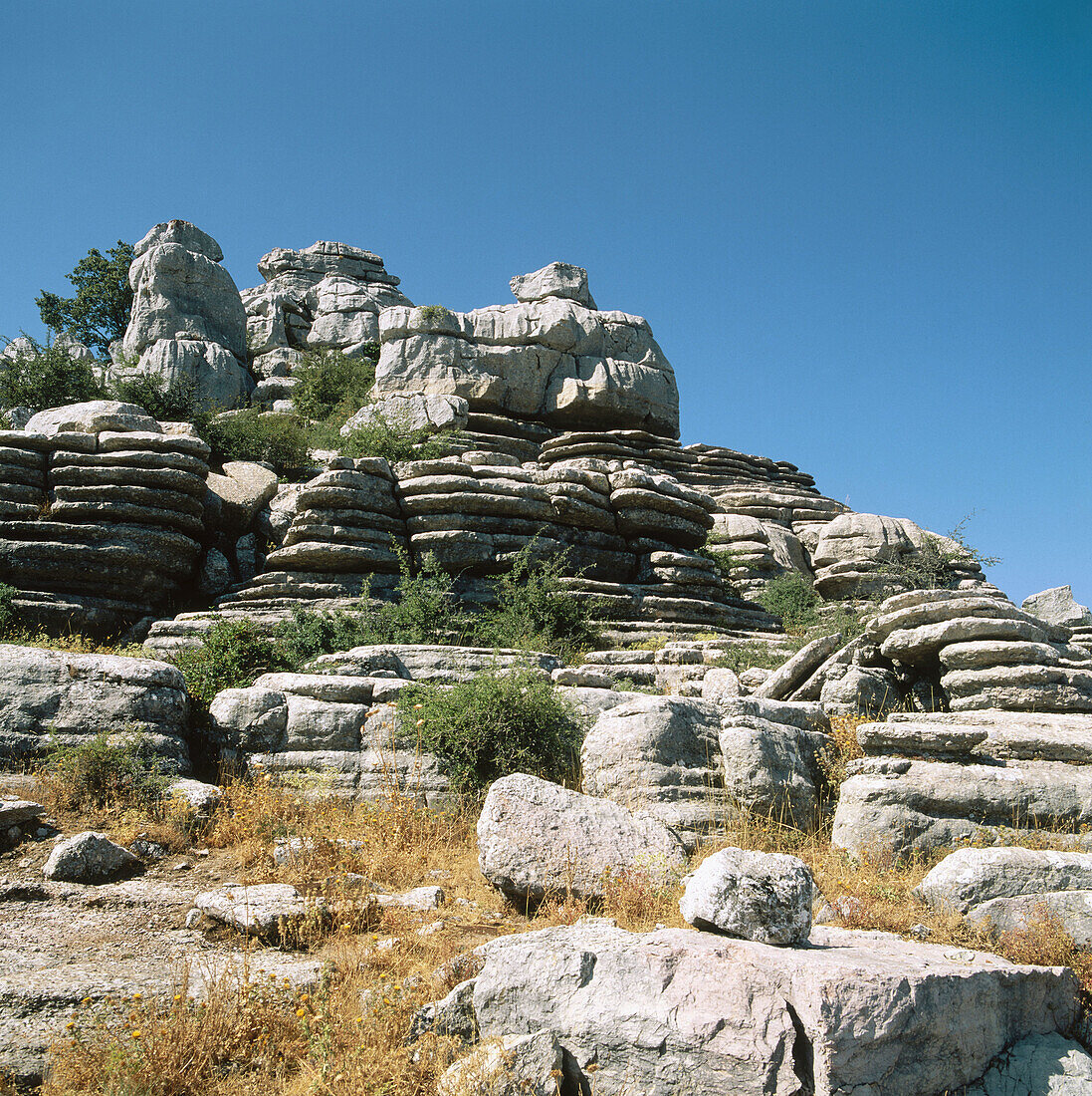 Wildnis, Torcal de Antequera, Provinz Málaga, Spanien