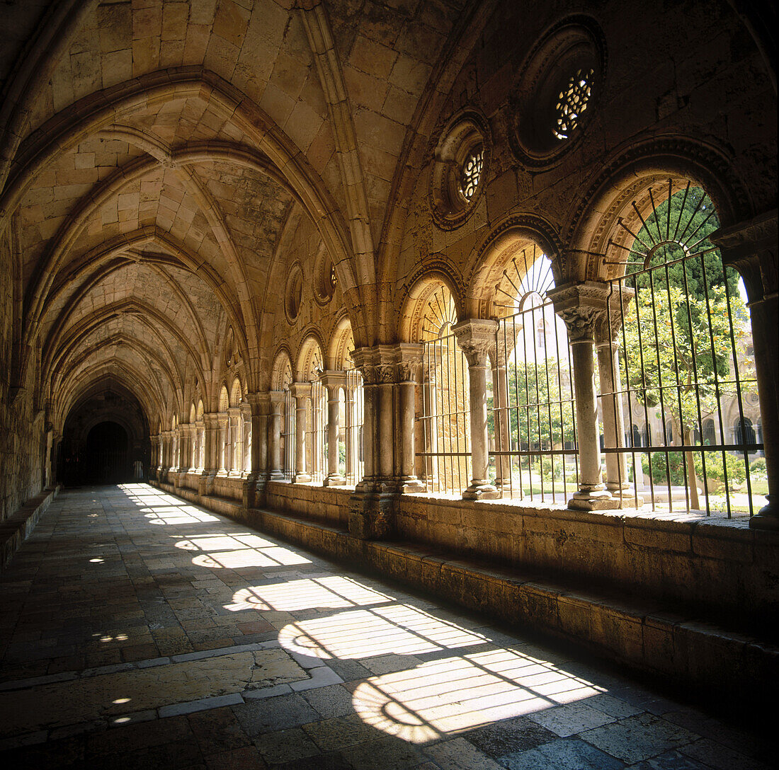 Cloister of Tarragona Cathedral. Catalonia. Spain