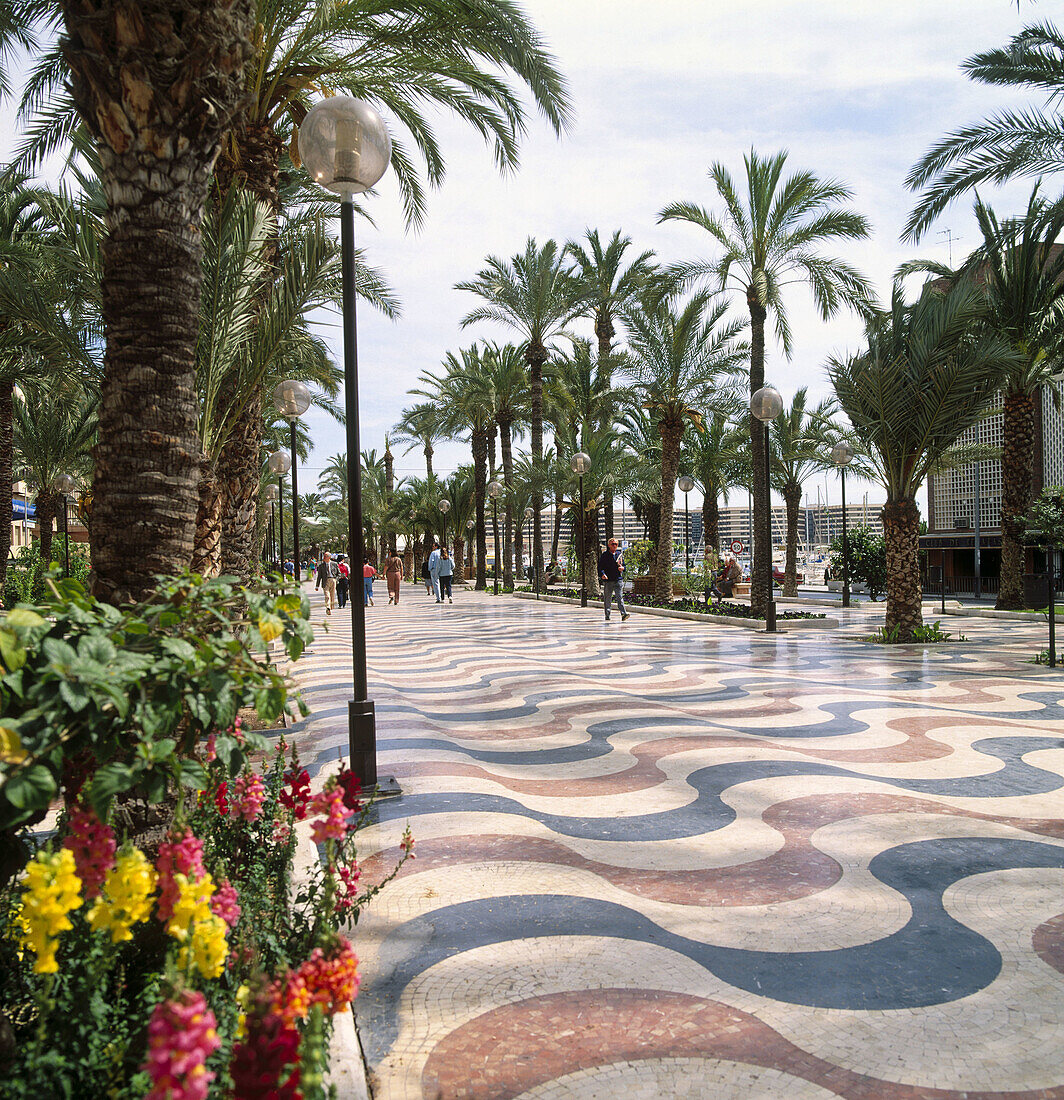 Explanada de España, Paseo Marítimo (promenade), Alicante, Spain