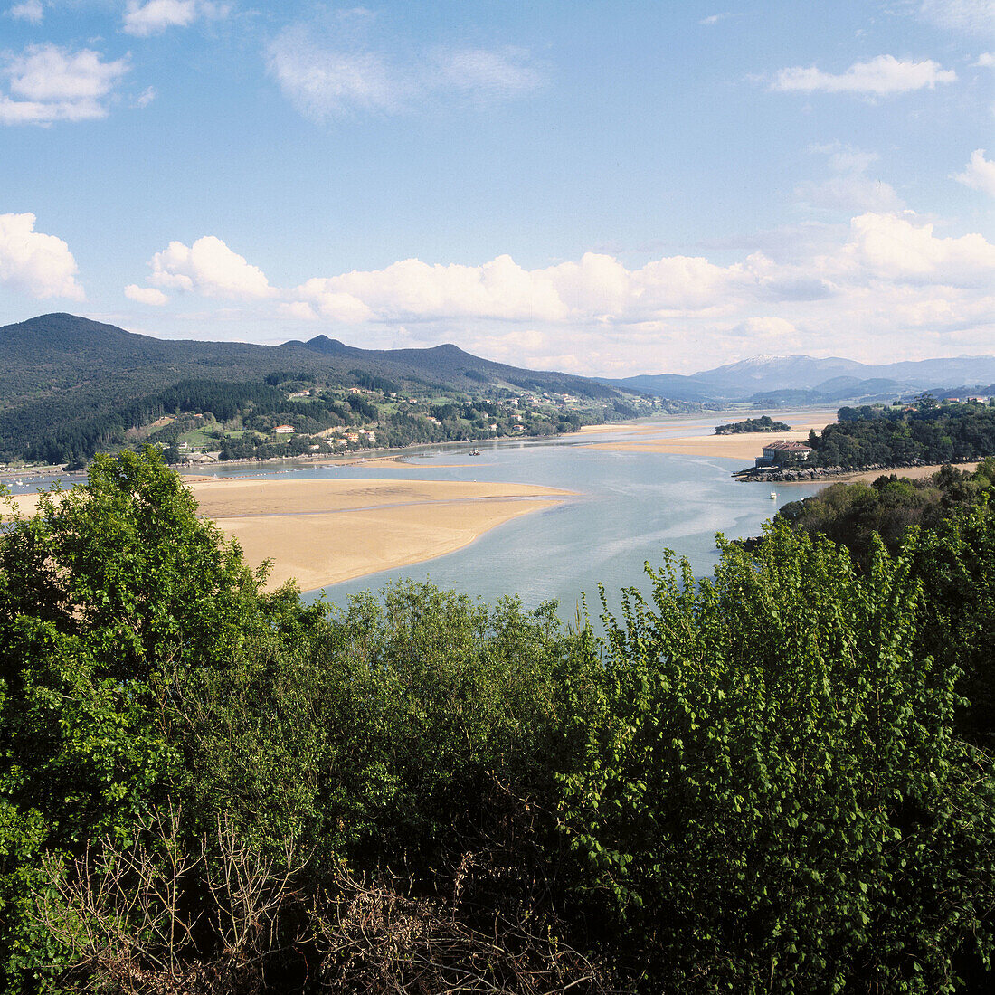 Gernika estuary, Urdaibai Biosphere Reserve, Mundaka, Biscay, Basque Country, Spain