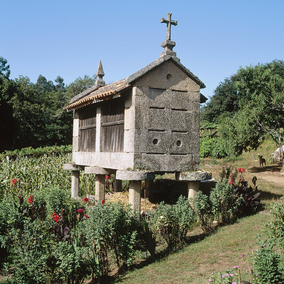 Horreo (typische Scheune), Meis, Provinz Pontevedra, Galicien, Spanien