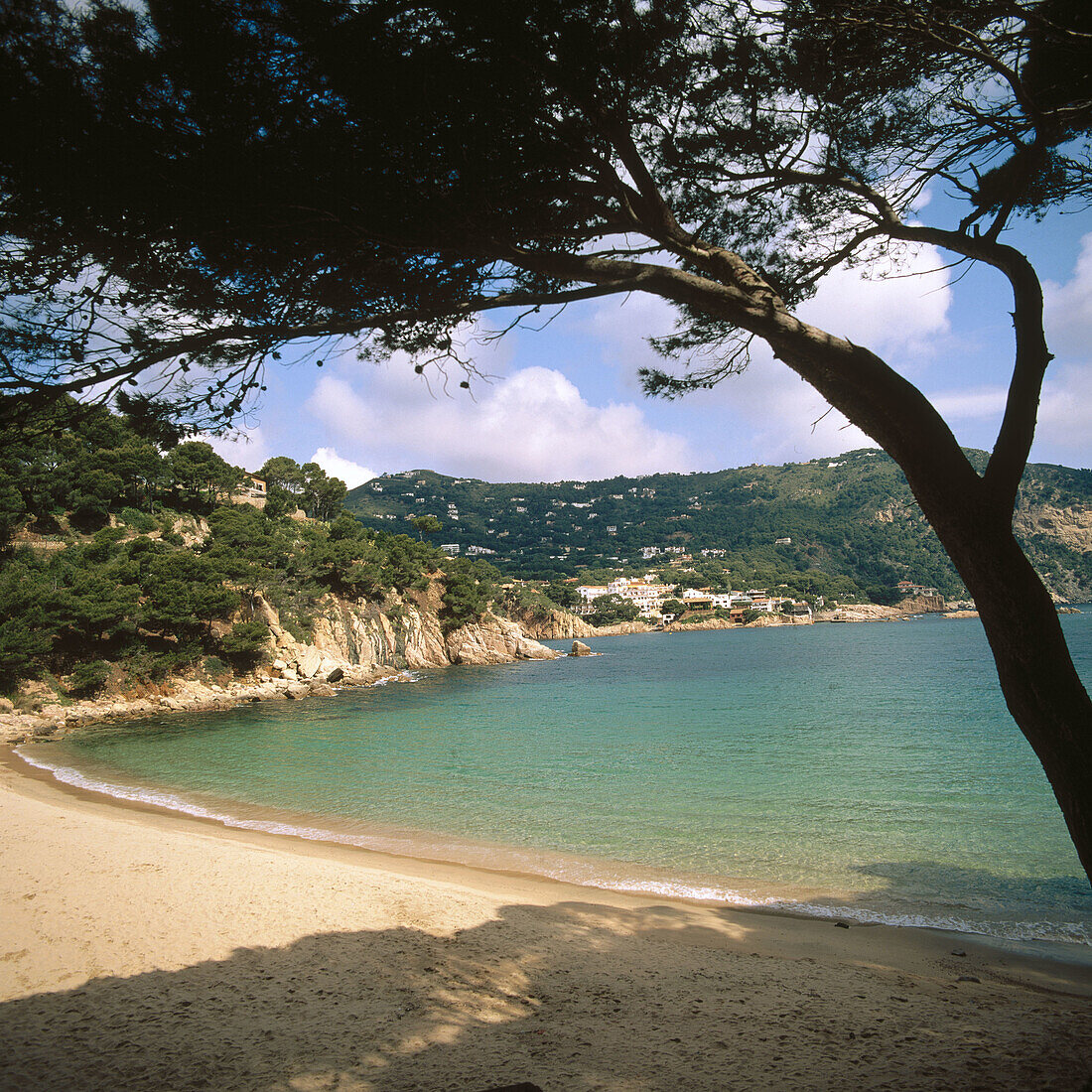 Aiguablava. Costa Brava. Provinz Girona, Katalonien. Spanien