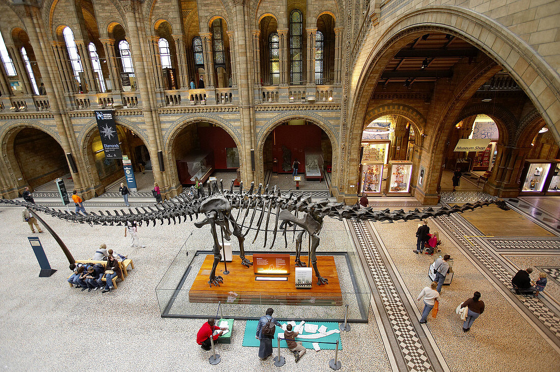 Central Hall, Natural History Museum, London. England. UK.