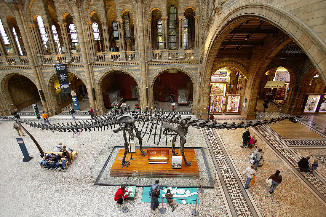 Central Hall, Naturhistorisches Museum, London. England. UK.