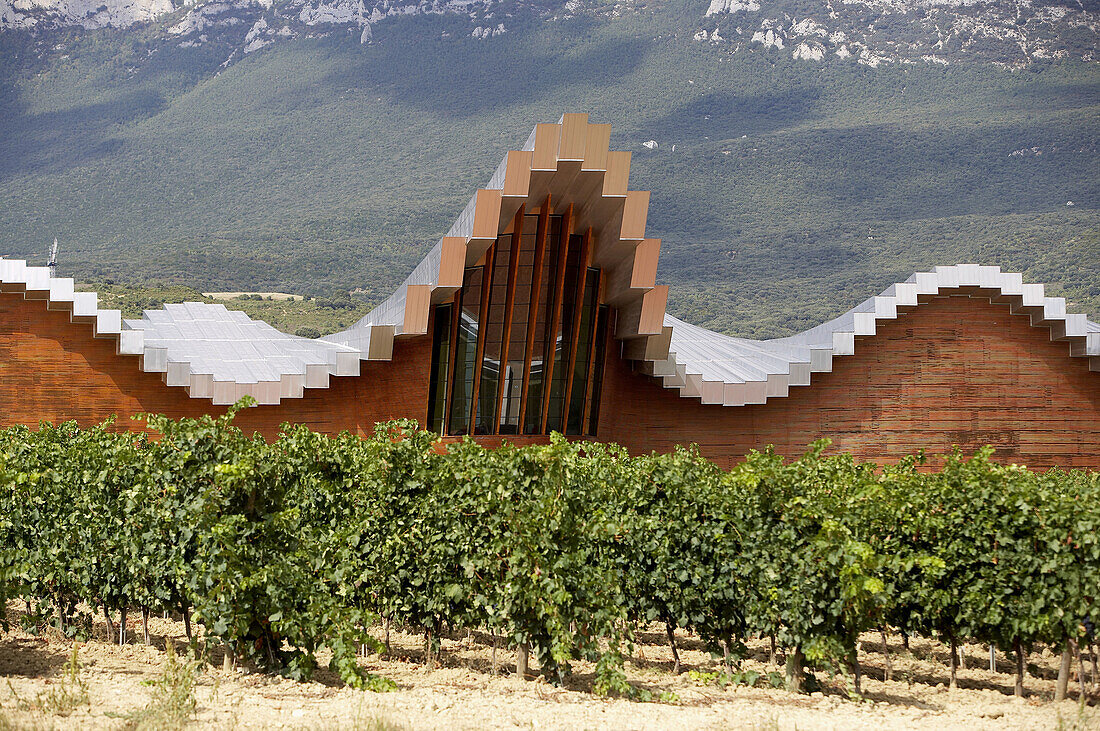 Gebäude der Weinkellerei Ysios, Entwurf von Santiago Calatrava. Laguardia, Rioja Alavesa. Alava, Euskadi, Spanien