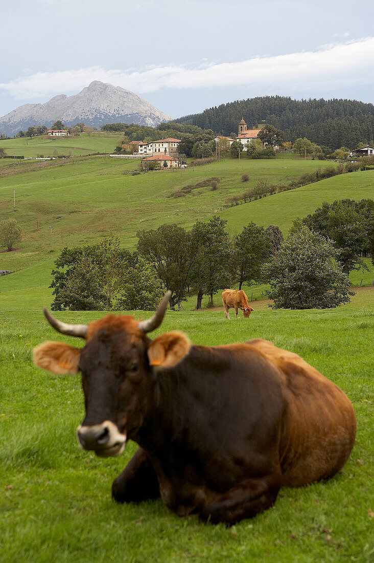 Monte Udalaitz, Aretxabaleta, Gipuzkoa, Euskadi. Spain.