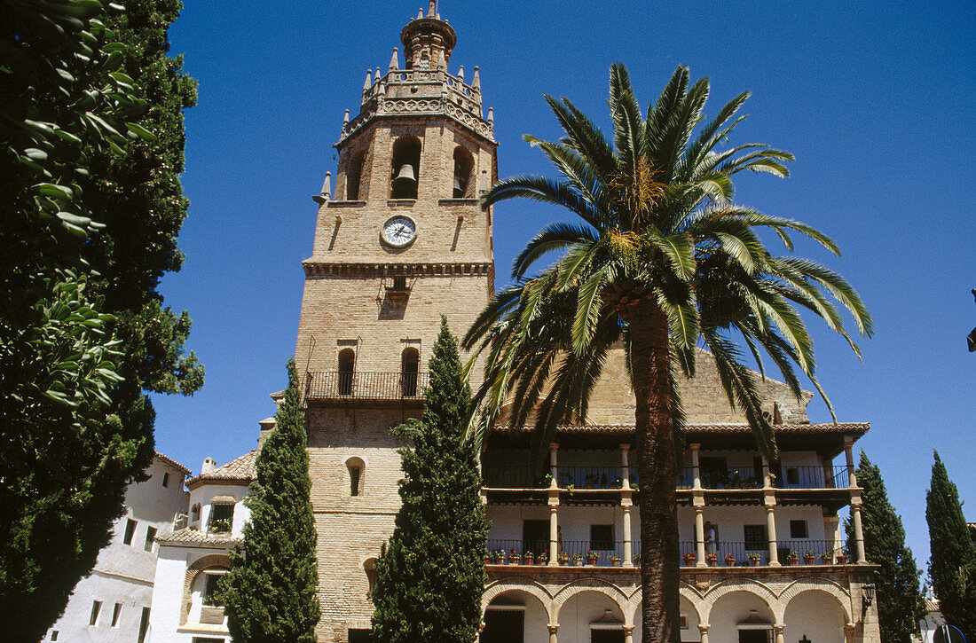 Cathedral. Ronda. Malaga province. Andalusia. Spain