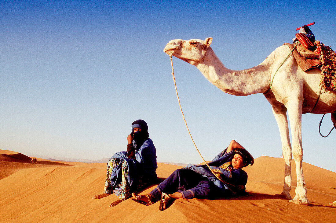 Men and camel in the dunes of Tindou, South Zagora. Morocco