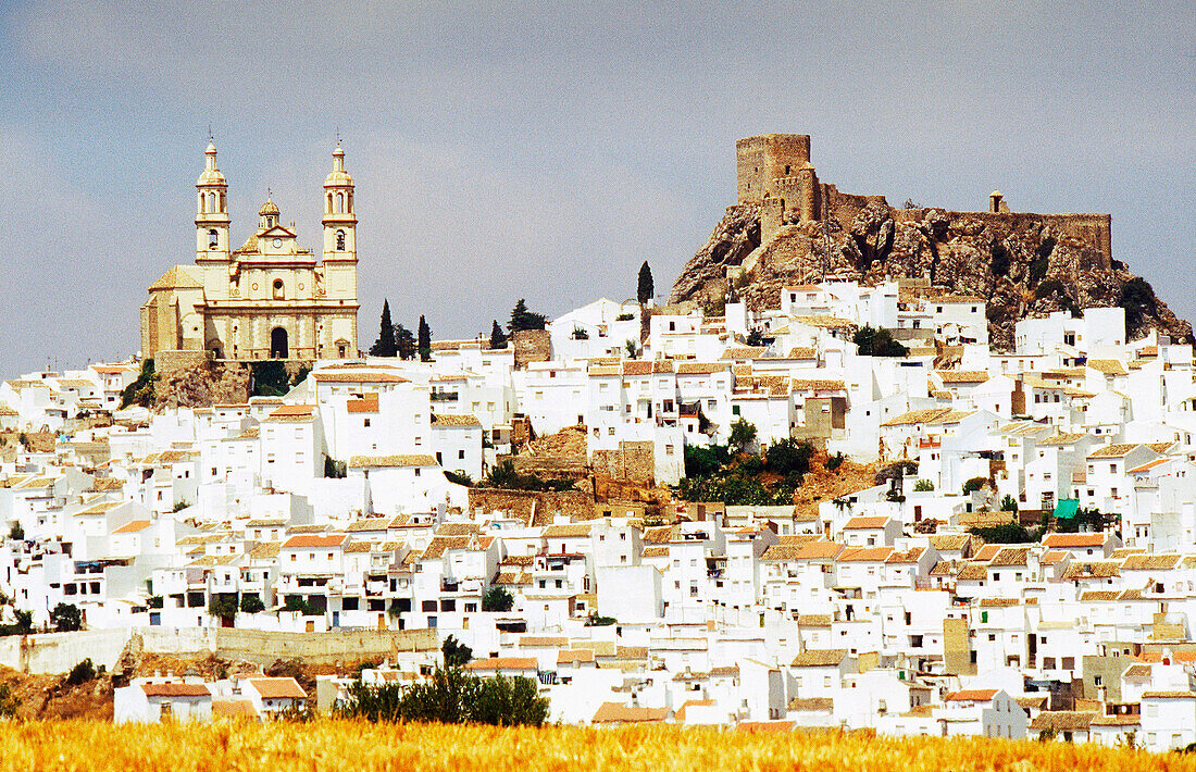 Olvera. Cádiz province. Spain