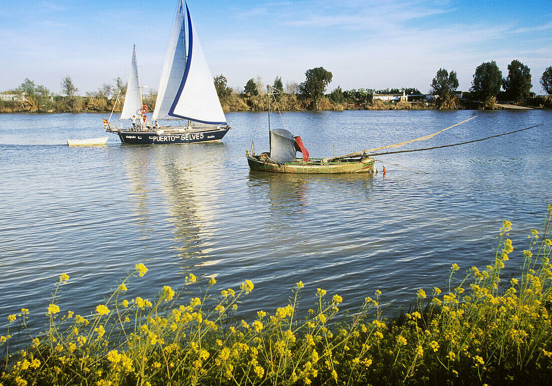 Sailing on Guadalquivir River. Coria del Río, Sevilla province. Spain