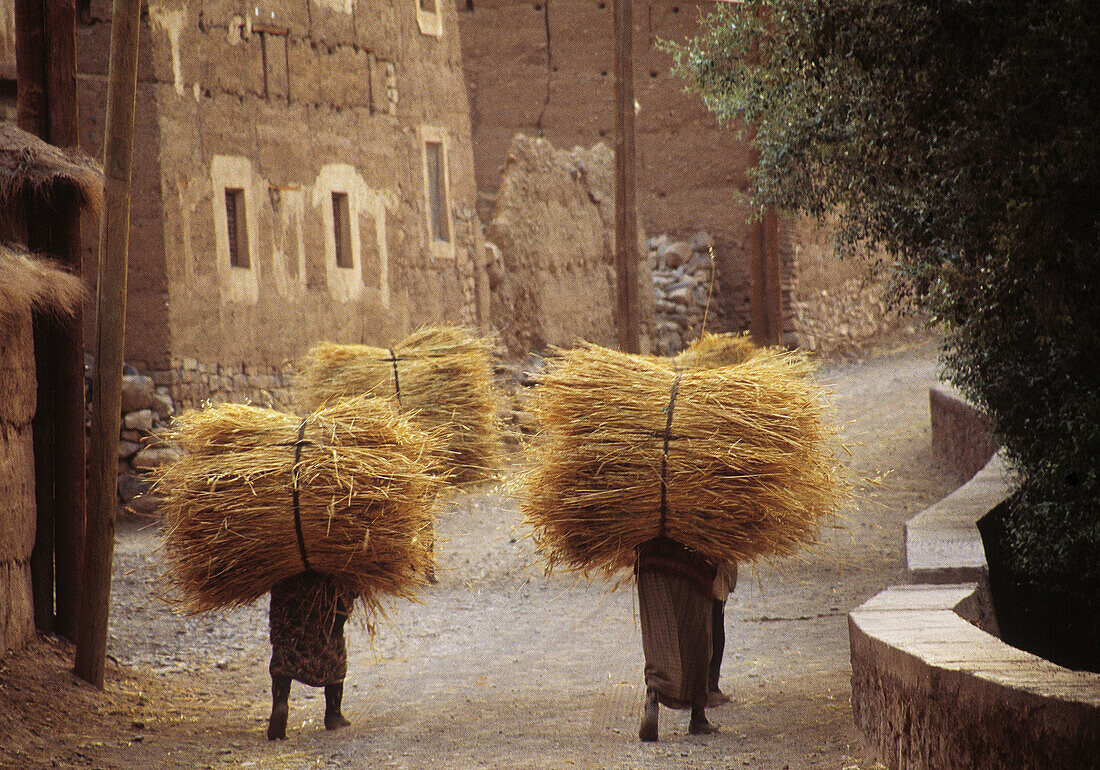 Women carrying forewood at Imelras, village in the High Atlas mountains. Morocco