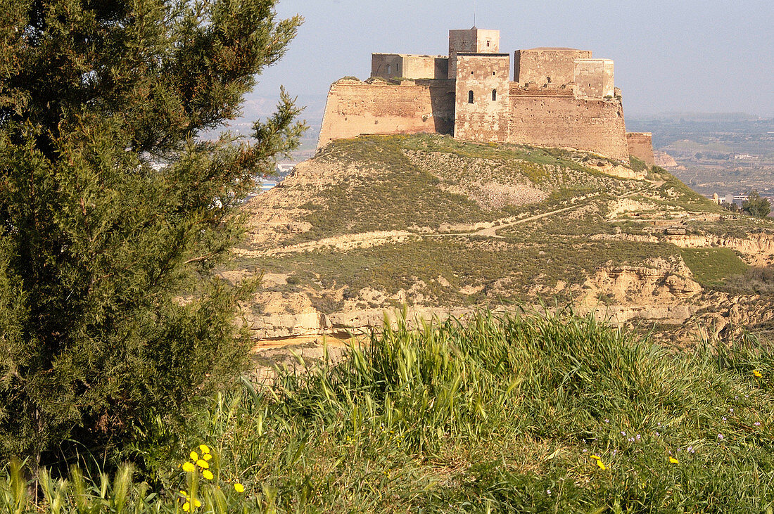 Templar castle. Monzón. Huesca province. Spain