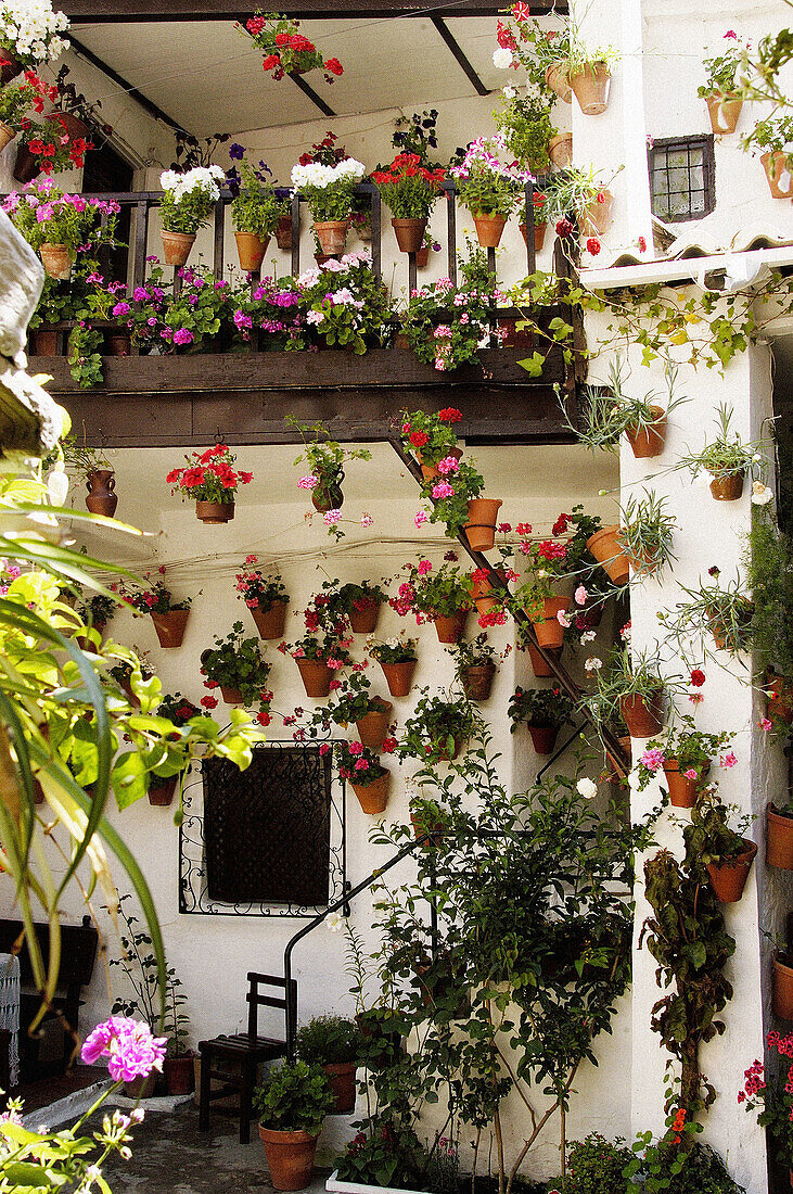 Patio. Córdoba. Spain