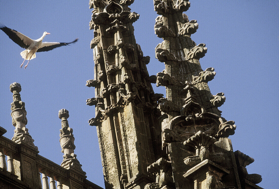 Detail of towers, new cathedral. Plasencia. Cáceres province, Spain