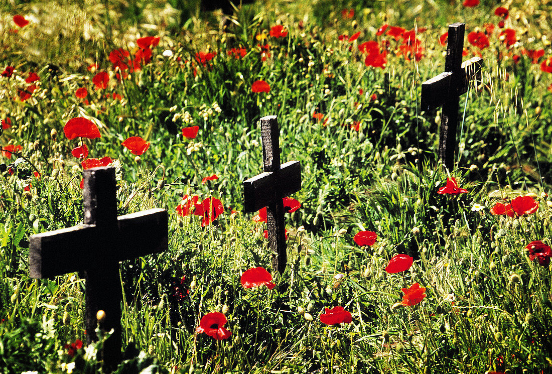 Cemetery