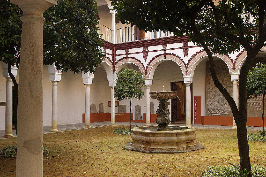Courtyard of the Benameji Palace. Écija. Seville Province. Spain