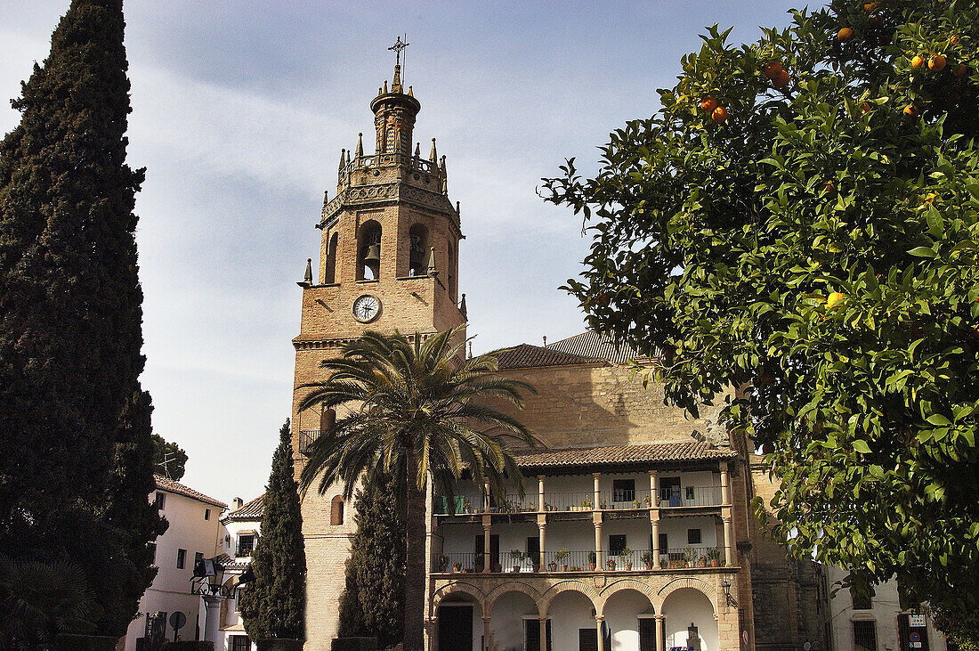 Church of Santa María la Mayor, cathedral. Ronda. Málaga province, Spain