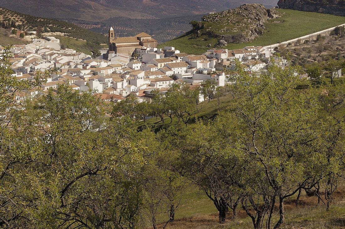 Carcabuey. Córdoba province, Spain