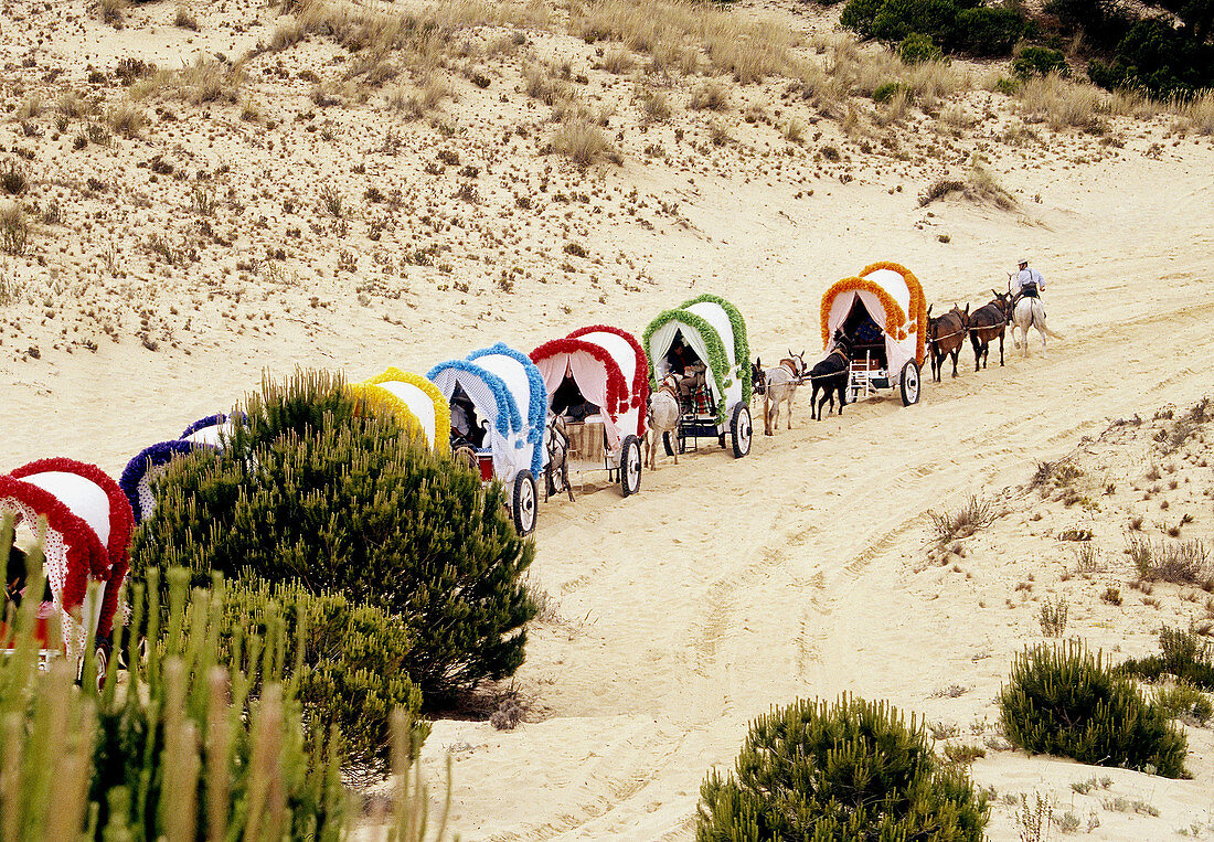 Pilgrimage to El Rocío. Doñana National Park, Huelva province. Spain